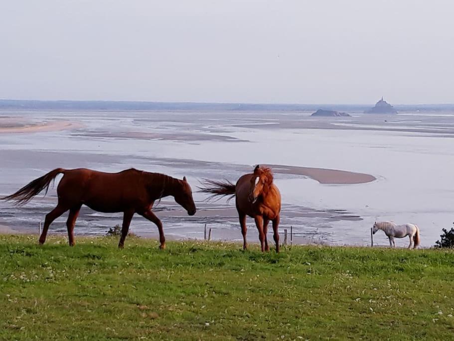 Maison Vue Sur Le Mont Saint Michel Et Sa Baie Champeaux Luaran gambar